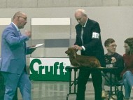 Crufts2763