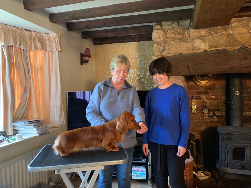 Crufts 2020 ハルンケ訪問中Crufts3026 Crufts 2020 ハルンケ訪問中