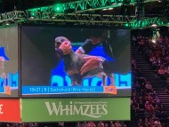 Crufts3040 Crufts3040