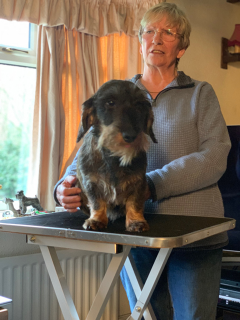 Crufts 2020 ハルンケ訪問中Crufts3041 Crufts 2020 ハルンケ訪問中