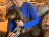 Crufts4080 Crufts4080