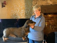 Crufts4085 Crufts4085