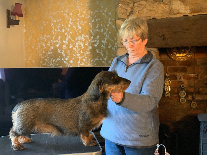 Crufts 2020 ハルンケ訪問中Crufts4085 Crufts 2020 ハルンケ訪問中