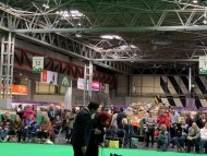 Crufts4591 Crufts4591