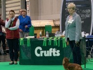 Crufts5806 Crufts5806