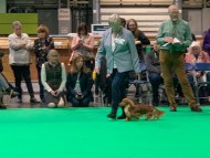 Crufts5809 Crufts5809