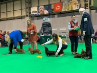 Crufts6943