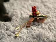 カニンヘン 子犬 シェーデットクリーム 女の子 しずるの赤ちゃん 11/18生まれ