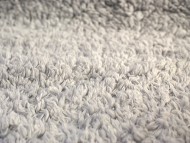 カニンヘン 子犬 シェーデットクリーム 男の子 しずるの赤ちゃん 11/18生まれ カニンヘン 子犬 シェーデットクリーム 男の子 しずるの赤ちゃん 11/18生まれ