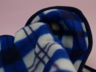 カニンヘン 子犬 ブラック＆クリーム 男の子 しずるの赤ちゃん 11/18生まれ