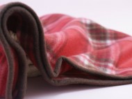 カニンヘン 子犬 ブラック＆クリーム 女の子 しずるの赤ちゃん 11/18生まれ