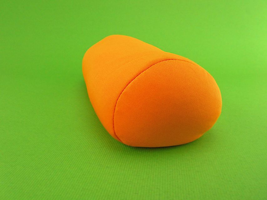 カニンヘンダックスフンド トマト & クッキーの子犬 レッド 男の子DSCN1571 カニンヘンダックスフンド トマト & クッキーの子犬 レッド 男の子