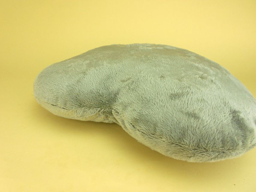 カニンヘンダックスフンド コトhp & ブルースの子犬 ブラックタン 男の子DSCN2995 カニンヘンダックスフンド コトhp & ブルースの子犬 ブラックタン 男の子