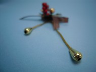 カニンヘン 子犬 ブラッククリーム 男の子