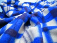 カニンヘン 子犬 ブラッククリーム 男の子