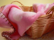 ミニチュワ 子犬 ブラッククリーム 女の子 神奈川県・Ｆ様