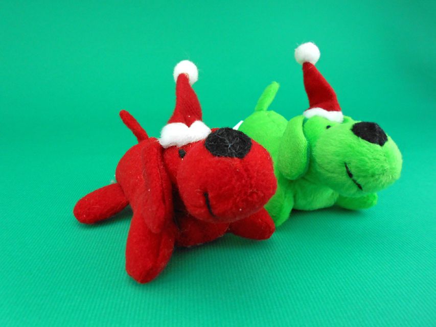 カニンヘンダックスフンド ココcs & 朝日の子犬 ブラックイエロー（ブラッククリーム）女の子