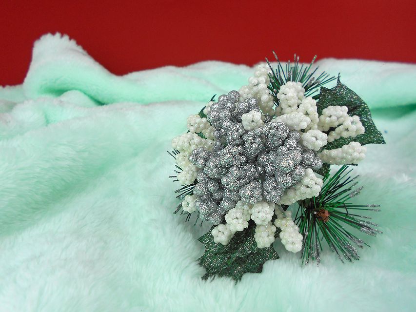 カニンヘンダックスフンド ふたば & ブルースの子犬 イエロー（クリーム） 男の子