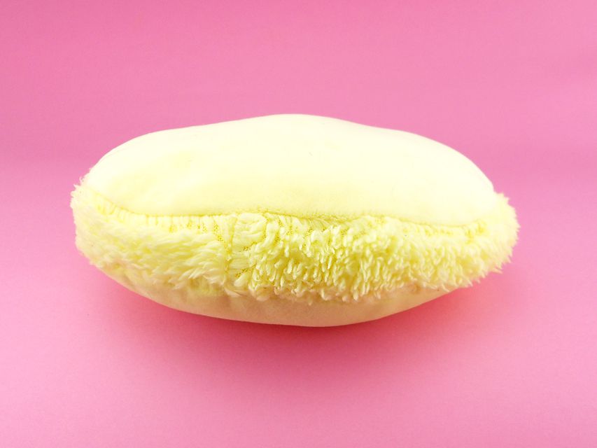 カニンヘンダックスフンド ナンシーcs & ナイトの子犬 ブラックタン 男の子（1）