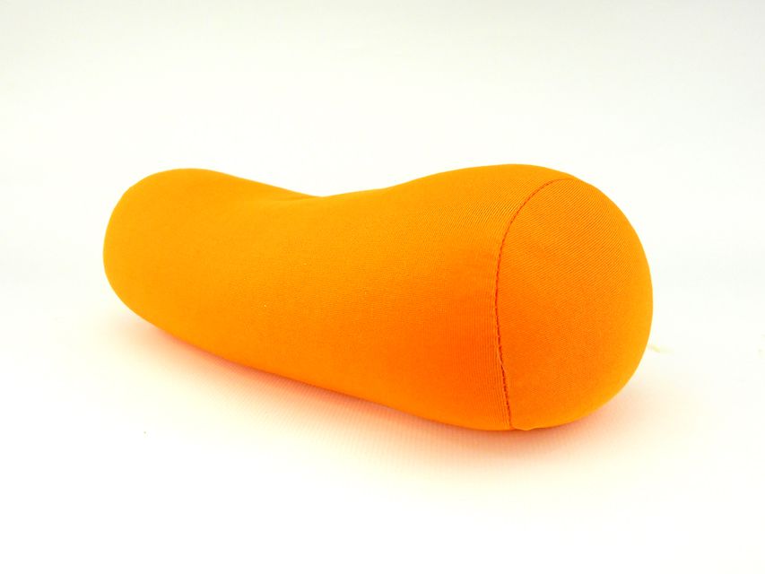 ミニチュアダックスフンド ララ & 竹千代の子犬 レッド or イエロー カラー考察中 女の子DSCN5444 ミニチュアダックスフンド ララ & 竹千代の子犬 レッド or イエロー カラー考察中 女の子