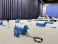 Dachshund8257 Dachshund8257