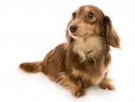 _E5A3389-Edit _E5A3389-Edit