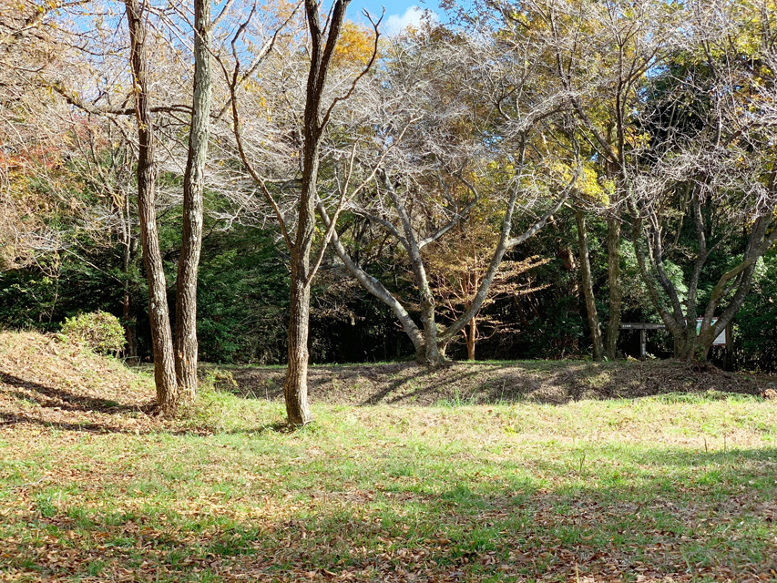 カニンヘンダックスフンド アビスmt & バロンmtの子犬 ブラックイエロー(ブラッククリーム) 女の子IMG_0219 カニンヘンダックスフンド アビスmt & バロンmtの子犬 ブラックイエロー(ブラッククリーム) 女の子