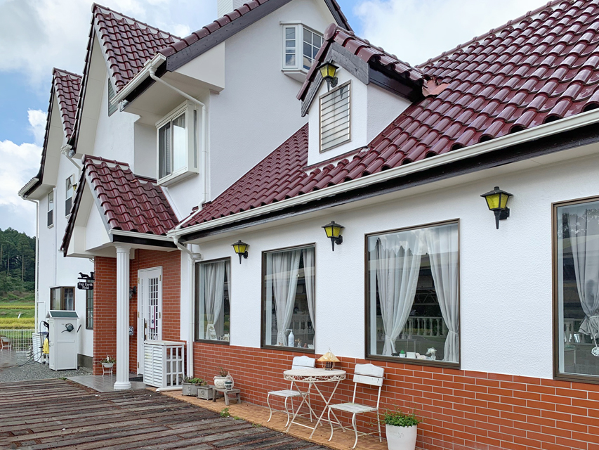 最近のフジアースフィールド ダックスフンド犬舎IMG_0887 最近のフジアースフィールド ダックスフンド犬舎