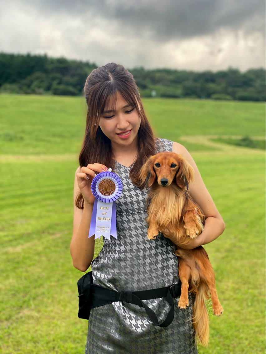 【ドッグショー】パッション　チャンピオン完成