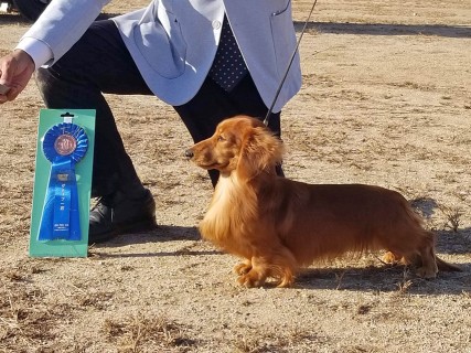 マモ〜ル BIG マモ〜ル BIG