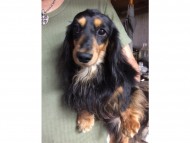 EYE JUST DRAGON EYE JUST DRAGON