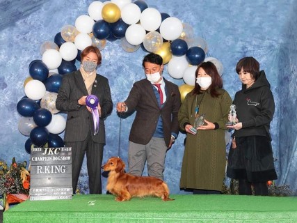 【ドッグショー】マモ〜ル リザーブキング 【ドッグショー】マモ〜ル リザーブキング