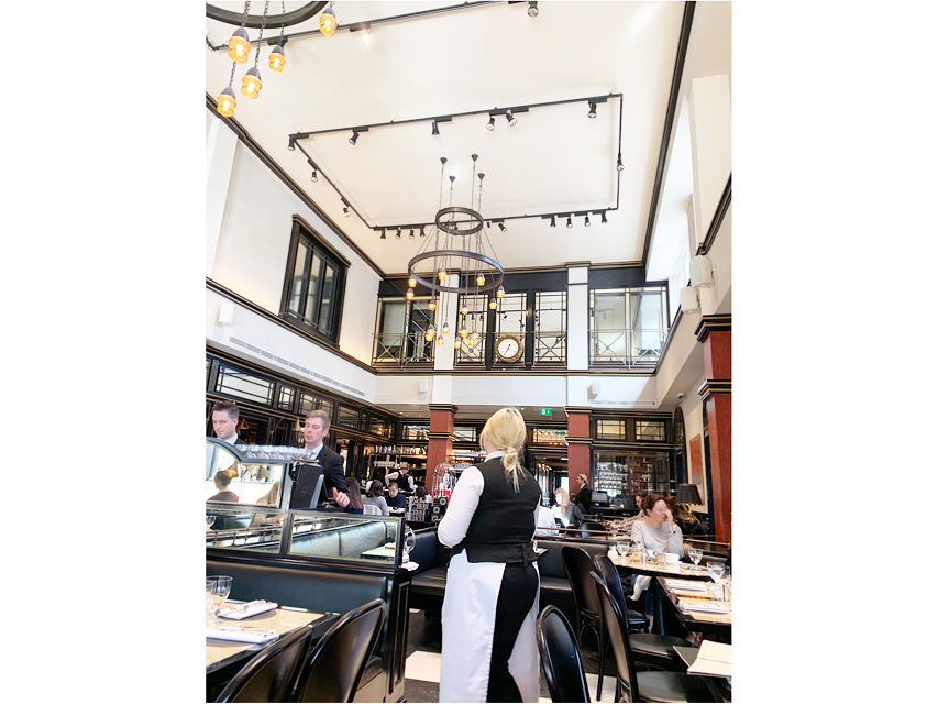 Crufts 2019 ロンドン3日目