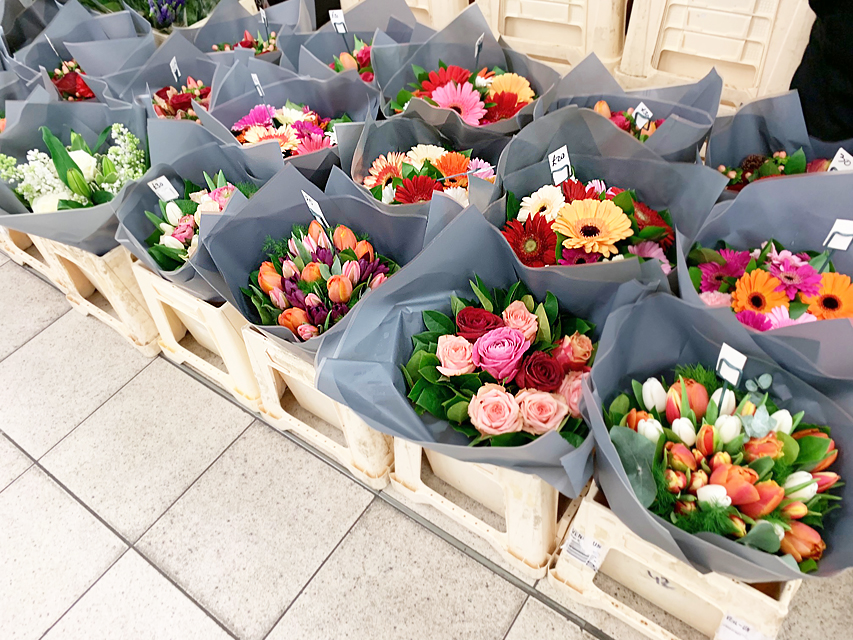 Crufts 2019　2年前の拠点地ノッテングヒルへ