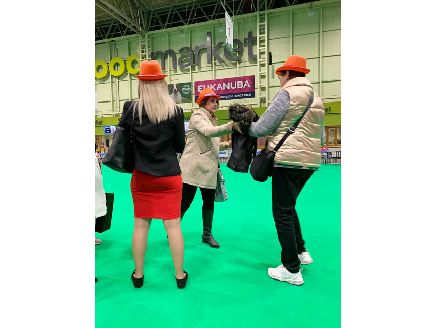 Crufts 2019 ユカヌバワールドチャレンジ(2)IMG_4289 Crufts 2019 ユカヌバワールドチャレンジ(2)