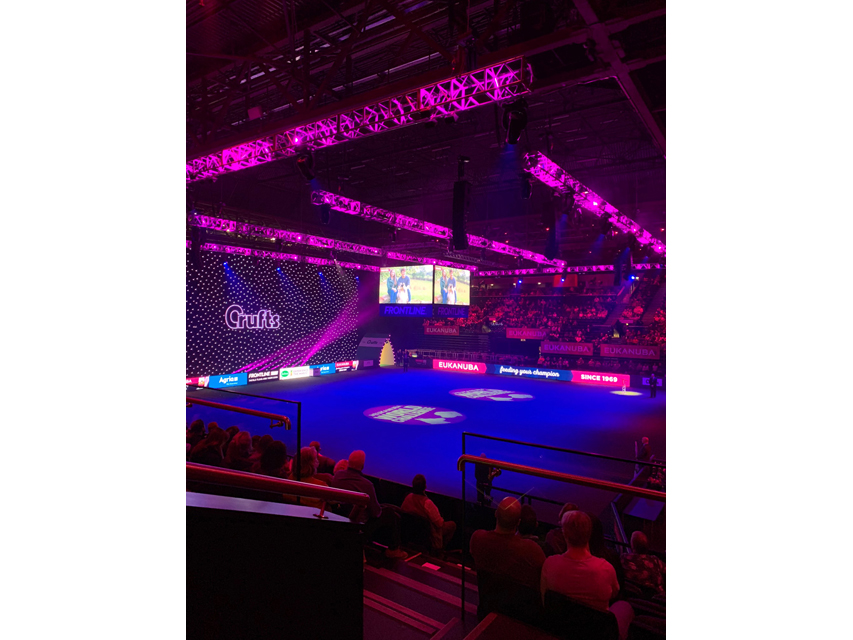 Crufts 2019 ユカヌバワールドチャレンジ(2)IMG_4303 Crufts 2019 ユカヌバワールドチャレンジ(2)