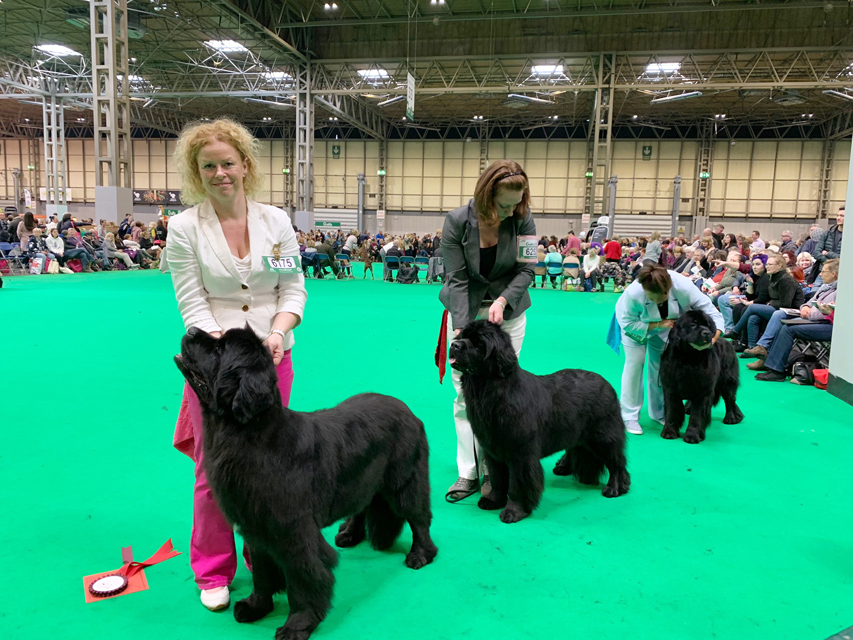 Crufts 2019 プレスルームにおじゃましましたIMG_4351 Crufts 2019 プレスルームにおじゃましました