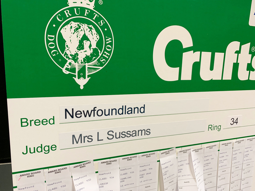 Crufts 2019 プレスルームにおじゃましましたIMG_4354 Crufts 2019 プレスルームにおじゃましました