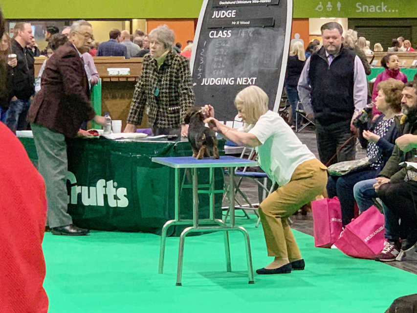 Crufts 2019　いよいよ始まりました！