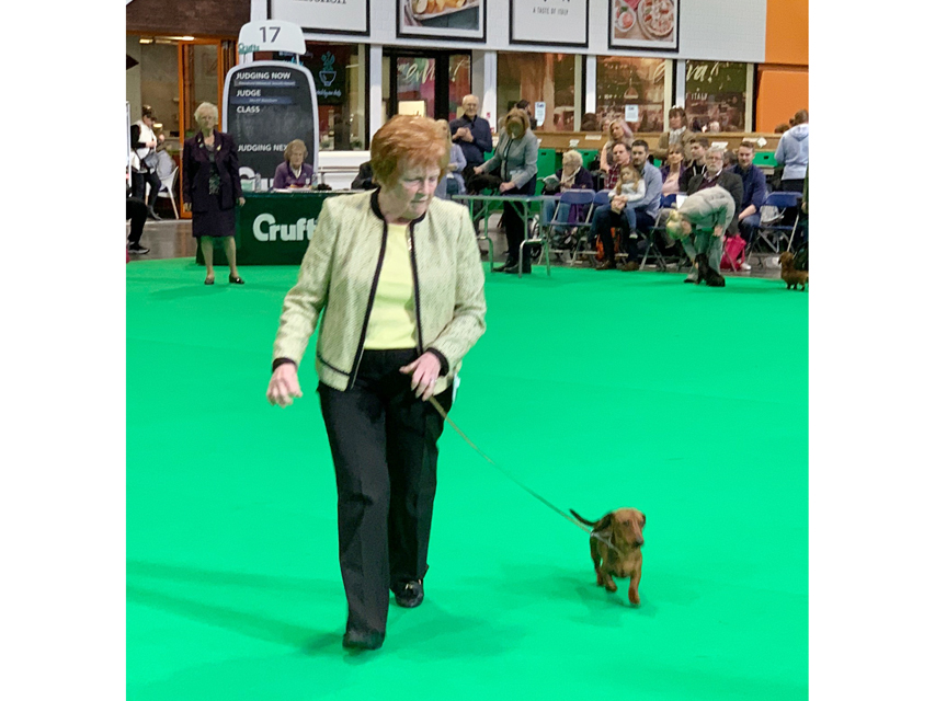Crufts 2019　いよいよ始まりました！