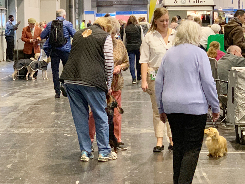 Crufts 2019　いよいよ始まりました！