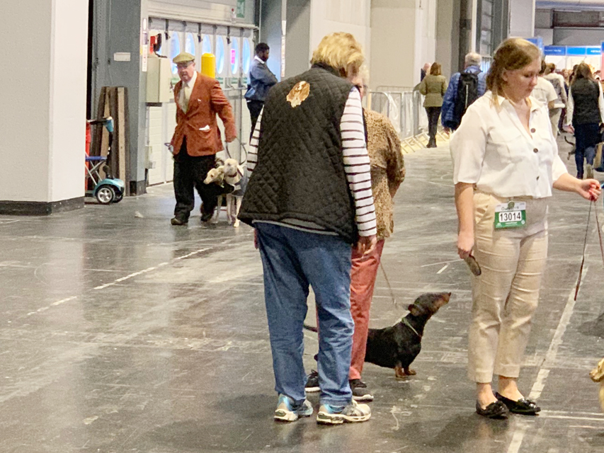 Crufts 2019　いよいよ始まりました！