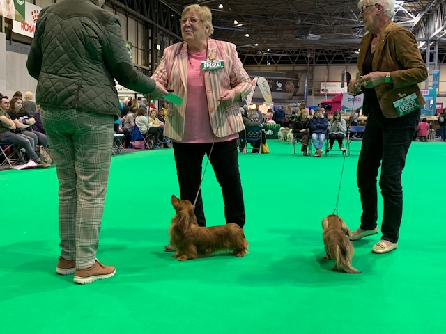 Crufts 2019 続き(1)IMG_4443 Crufts 2019 続き(1)