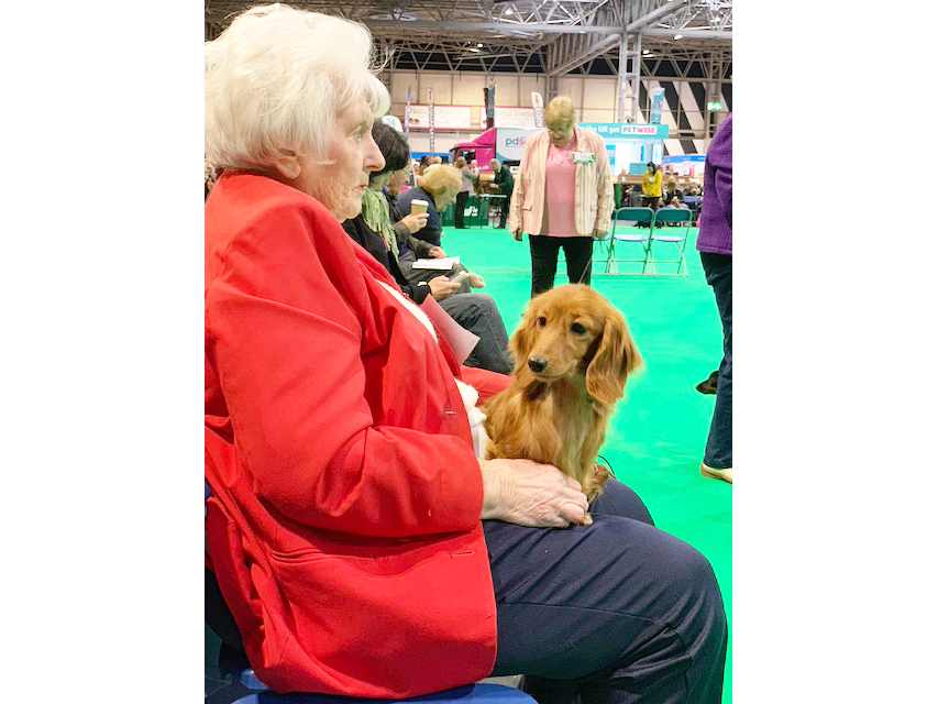 Crufts 2019 続き(2)IMG_4502 Crufts 2019 続き(2)