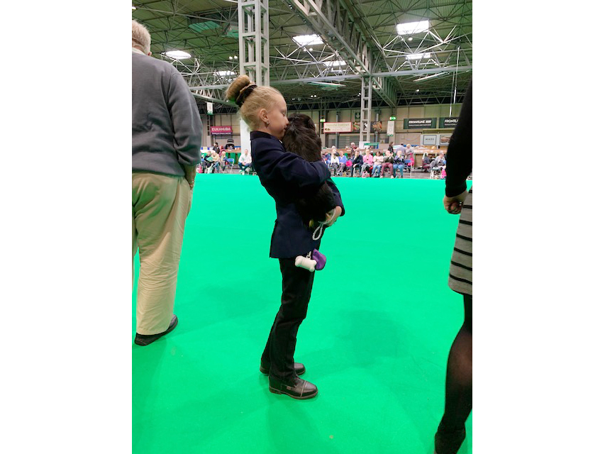Crufts 2019　続き（3）