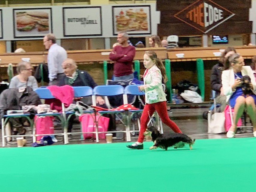 Crufts 2019　続き（3）