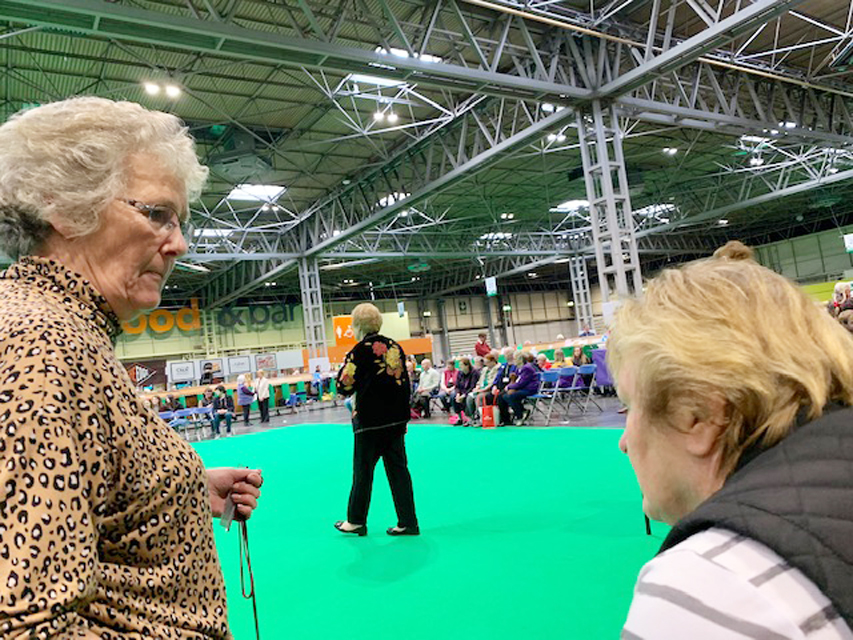 Crufts 2019　続き（3）