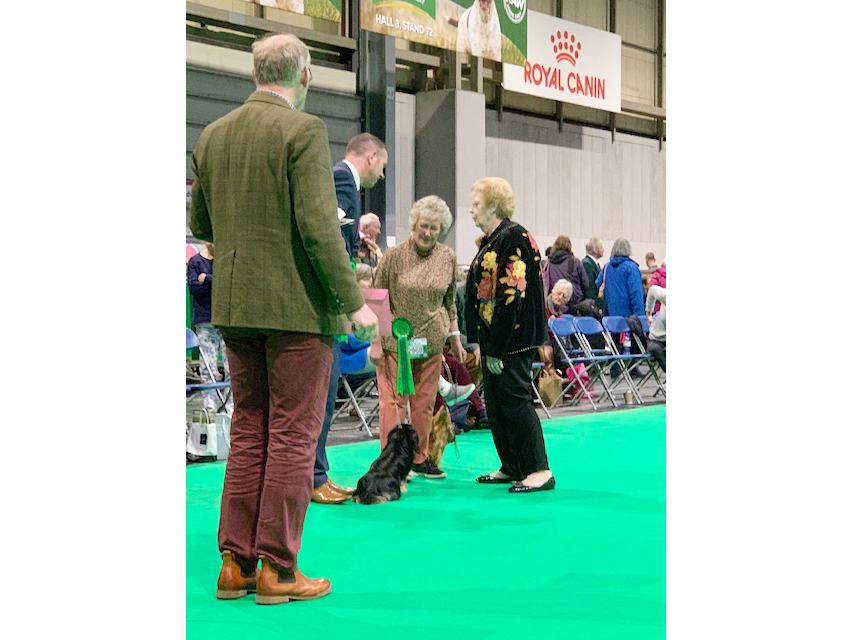 Crufts 2019　続き（3）