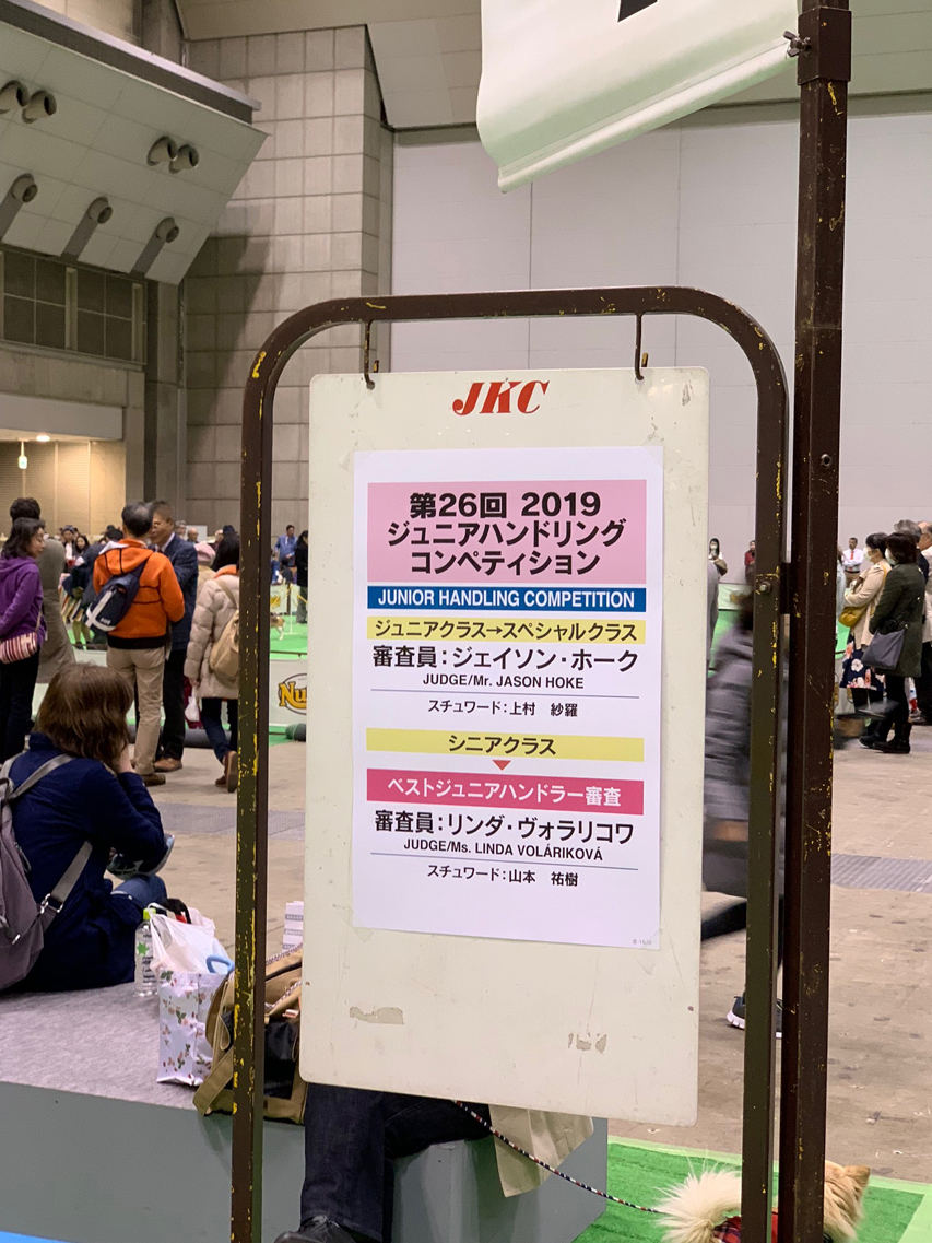 【ドッグショー】ジュニアクラス 石澤百彩奈ちゃん 見事、2席入賞