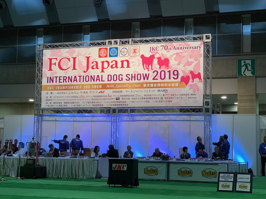 【ドッグショー】ジュニアクラス 石澤百彩奈ちゃん 見事、2席入賞